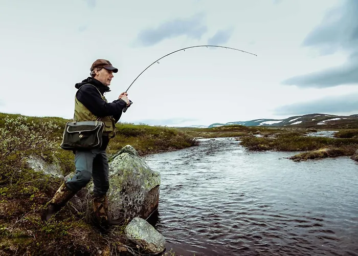 Halne Fjellstugu Ξενοδοχείο 2*